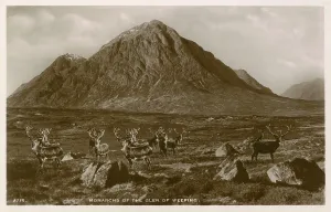 Etive: Monarchs of the Glen of Weeping, Scotland