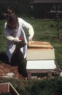 Hives: Monastic life - beekeeping nun