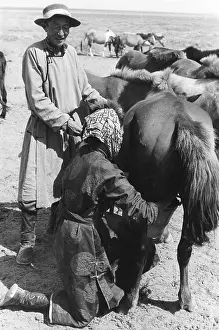 Herdsman: Mongol herdsman, Gobi desert, Mongolia