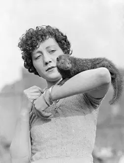 Mongoose: A MONGOOSE ON THE ARM