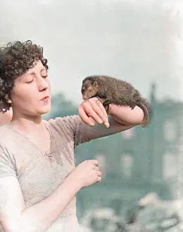 Mongoose: A MONGOOSE ON THE ARM