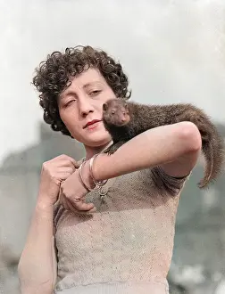 Mongoose: A MONGOOSE ON THE ARM