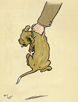 Scruff: Mongrel puppy gets a beating