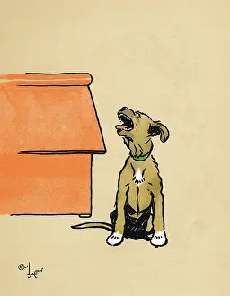 Kennel: Mongrel puppy howling in the night