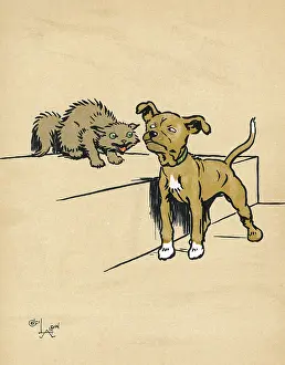 Confront: Mongrel puppy with a kitten