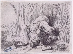 Cornfield: Monk in the cornfield