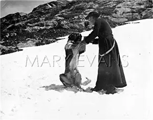 Embalmed: MONK WITH ST. BERNARD'S