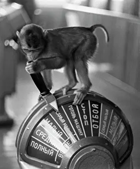 Wheelhouse: Monkey, 1965