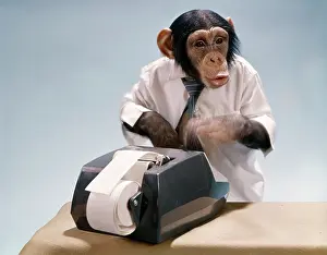Bookkeeping: Monkey Adding Machine Office Retro