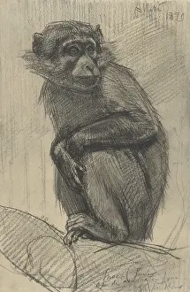 Impressionistic: Monkey on a Branch