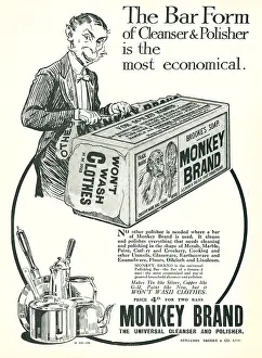 Polisher: Monkey Brand Advertisement