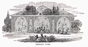 Zoos: Monkey Cage in Regent's Park Zoo 1832