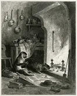 Fireside: The Monkey and the Cat