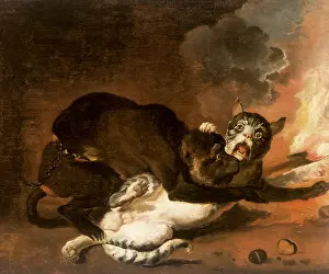 Apes: The Monkey and the Cat