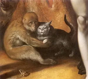 Apes: Monkey and Cat Embrace