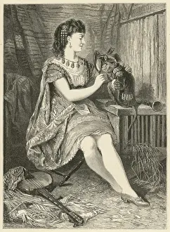 Tricorne: A monkey in costume