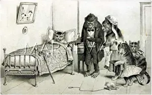 Sickly: MONKEY DOCTOR