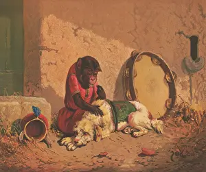 Sadness: Monkey and a dog with a large tambourine and monkey's hat