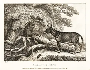 Moan: A monkey and a donkey moan until a mole silences them