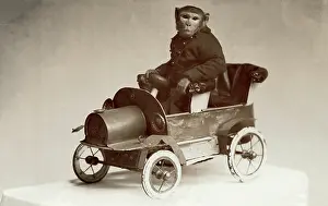 Unnatural: Monkey driving a toy car