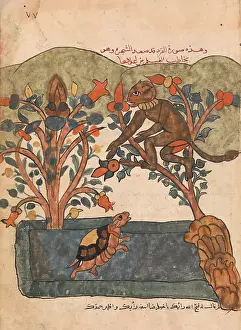 Kalila: The Monkey Escapes to the Safety of the Fig Tree