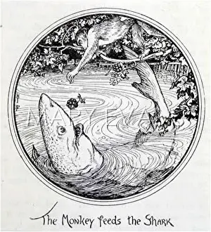 Swahili: MONKEY FEEDS A SHARK