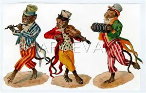 Accordeon: MONKEY MUSICIANS