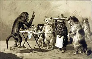 Therapies: MONKEY QUACK DOCTOR