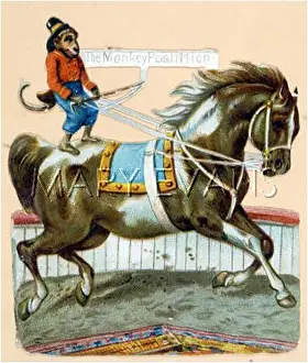 Postillion: A MONKEY RIDES A PONY