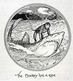 Swahili: MONKEY RIDES A SHARK