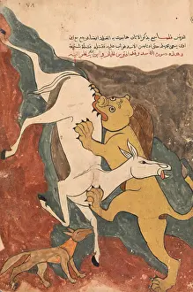 Kalila: The Monkey Tells the Story of the Fox Luring the