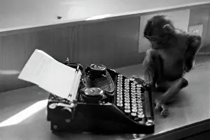 Typing: Monkey typing, 1965
