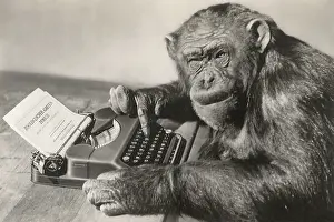 Typing: Only One Monkey Typing