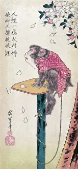 Karma: Monkey Watching Cherry Blossoms Fall, 19th Century
