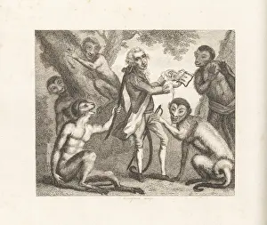 Lovegrove: The Monkey who had seen the World