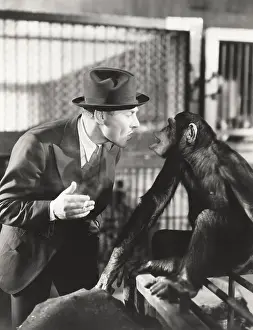 Imitating: Monkeying around