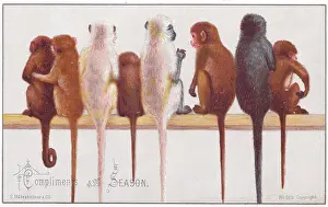 Victorian Christmas: Eight monkeys on a Christmas card