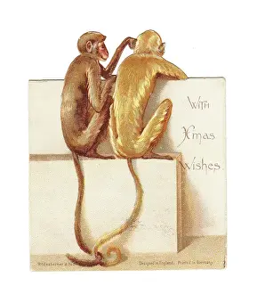 Entwined: Two monkeys on a cutout Christmas card