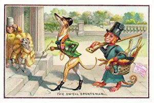 Swell: Monkeys and dogs on a Christmas card