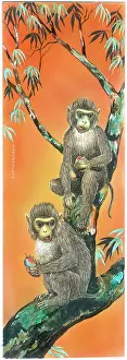 Mangoes: Two monkeys eating mangoes
