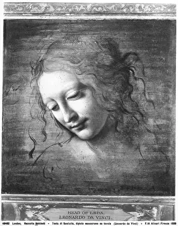 Leda: Monochrome painting depicting the head