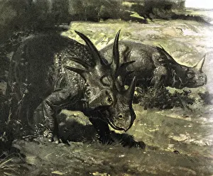 Styracosaurus: Monoclonius and Styracosaurus