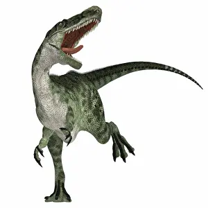 Monolophosaurus: Monolophosaurus dinosaur