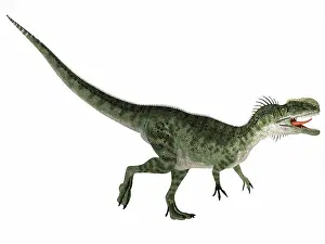 Monolophosaurus: Monolophosaurus dinosaur