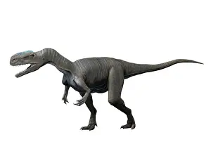 Monolophosaurus: Monolophosaurus dinosaur