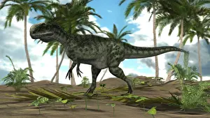 Monolophosaurus: Monolophosaurus dinosaur in a prehistoric environment
