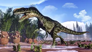 Puddle: A Monolophosaurus dinosaur walking amongst cycas and ?