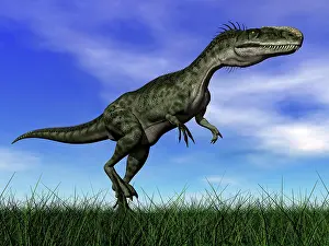 Monolophosaurus: Monolophosaurus dinosaur walking in the grass