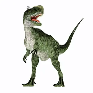Talon: Monolophosaurus dinosaur on white background