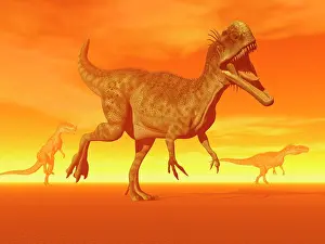 Haze: Three Monolophosaurus dinosaurs in the desert by sunset